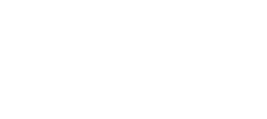 RCN logo