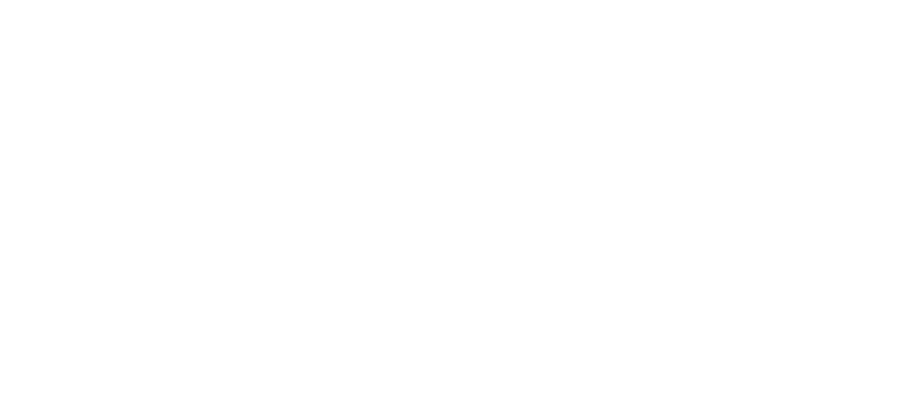 Sarah's Fund Logo